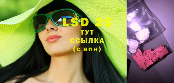 mdpv Вяземский