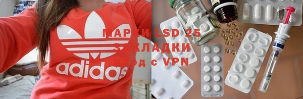 PSILOCYBIN Вязники