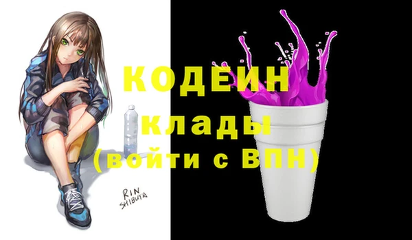 mdpv Вяземский