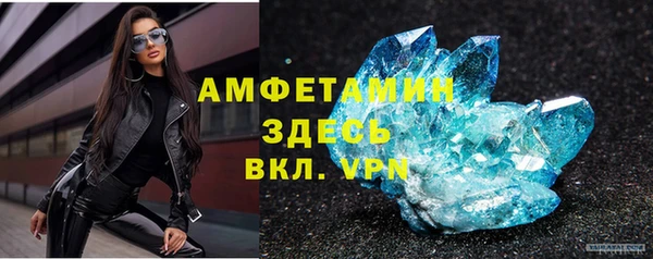mdpv Вяземский