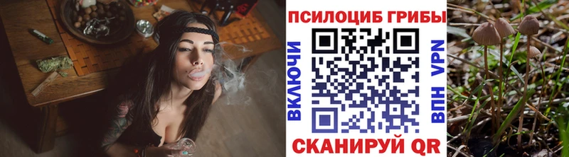 Псилоцибиновые грибы Magic Shrooms  Черкесск 